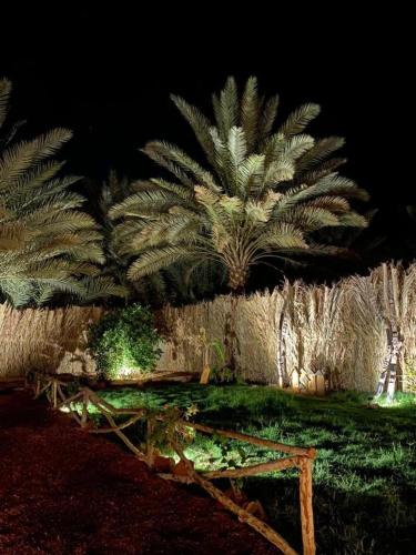 a group of palm trees in a field at night at كوخ آفيري Aviary Hut in AlUla