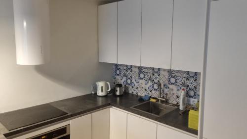 Kuchyň nebo kuchyňský kout v ubytování Full 45 m2 apartment to rent for June, July, August 2024
