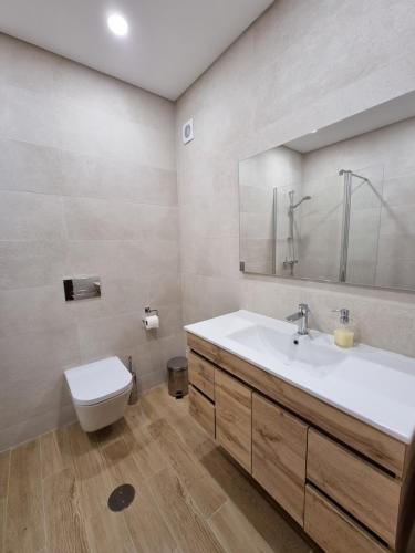 een badkamer met een wastafel, een toilet en een spiegel bij Apartment Afonso Henriques in Coimbra