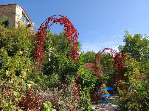 a garden with an arch covered in red flowers at Studio Penelope in Kerasochórion