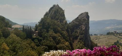 a group of mountains with pink flowers in the foreground at Casa del Viandante Borgo dei Sassi di Roccamalatina in Guiglia