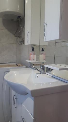 a bathroom with a white sink and a mirror at Guest house Limes in Zatonje