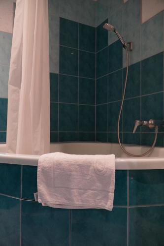 uma casa de banho com um chuveiro e uma toalha na banheira em Apartament Paderewski em Poznań