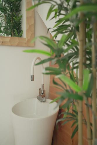 uma casa de banho com um lavatório e um vaso de plantas em Sewaro Homestay em Āīzawl