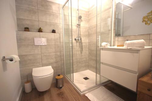 een badkamer met een douche, een toilet en een wastafel bij Studio grande piscine dans résidence hôtelière, proche plage in Lecci