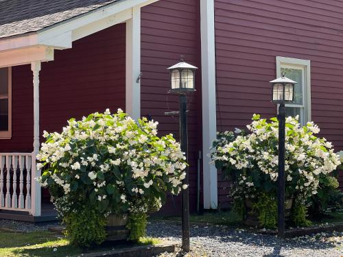 two flowers in front of a red house with two lights at The Nutmeg Vermont in Wilmington