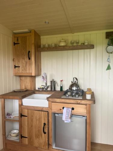 a small kitchen with a sink and a stove at Honeysuckle Shepherd's Hut in Northallerton