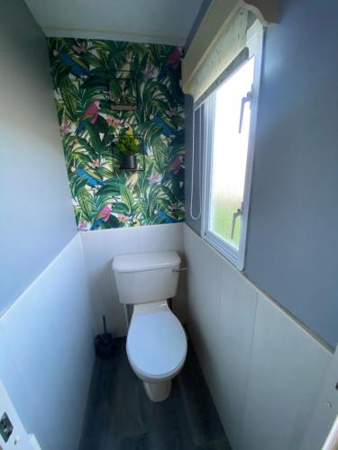 a small bathroom with a toilet and a window at Seaview 190 - Ingoldmells - Close to beach and Fantasy Island in Ingoldmells