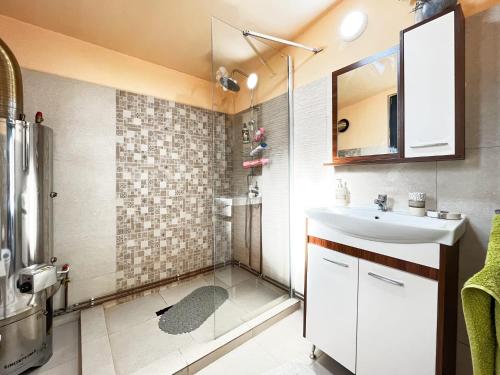 a bathroom with a sink and a shower at Casuta de sub stanca Apuseni,hot tub inclus in Bîrdeşti