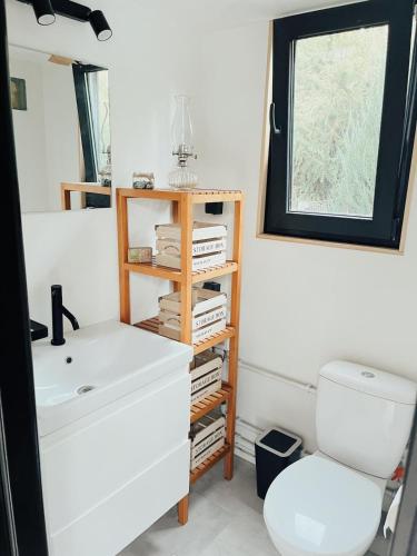 a bathroom with a sink and a toilet and a window at Tiny Home Kontík in Luka nad Jihlavou