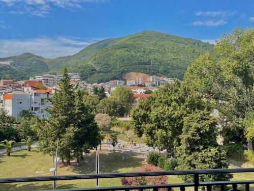 a view of a city with a mountain in the background at Comfort Apartments Pasha in Budva