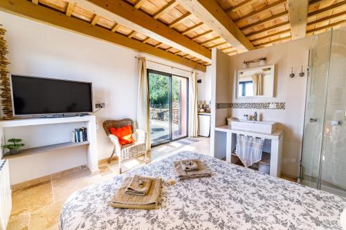 a room with a bed and a tv and a bathroom at O PATIO DU MAS in Callas