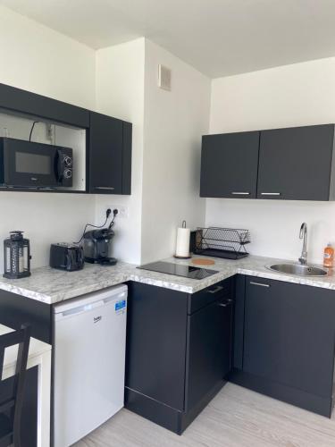 - une cuisine avec des comptoirs en noir et blanc et un évier dans l'établissement Studio vue sur Seine, à Rouen