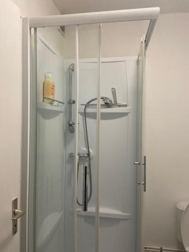 um chuveiro com uma porta de vidro na casa de banho em Studio vue sur Seine em Rouen