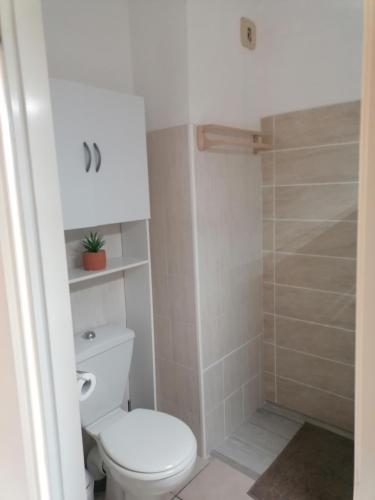 une salle de bain blanche avec toilettes et douche dans l'établissement Studio 4 personnes bord de mer avec piscine wifi, à Cervione