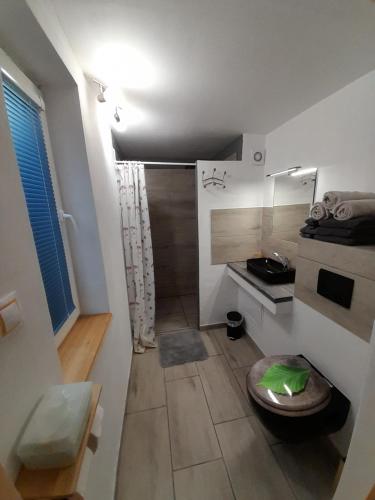 een kleine badkamer met een wastafel en een toilet bij Chaloupka na vršku in Loučná pod Klínovcem