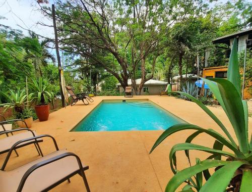 a swimming pool in a yard with chairs and trees at Casa Pura Vida Surf Hostel - Tamarindo Costa Rica in Tamarindo