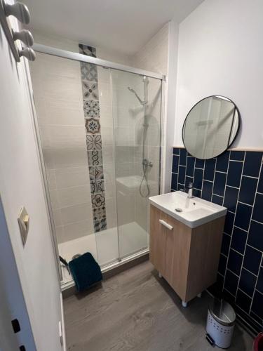 La salle de bains est pourvue d'une douche, d'un lavabo et d'un miroir. dans l'établissement Studio centre ville le saint'oh, à Saint-Omer