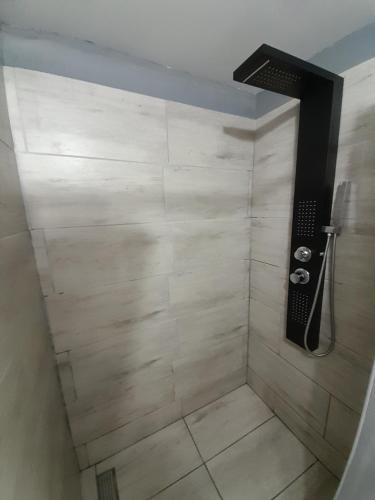 a bathroom with a shower with a tile wall at Chaloupka na vršku in Loučná pod Klínovcem