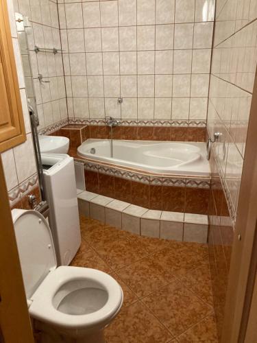 uma casa de banho com um WC e uma banheira em 2 rooms apartment with balcony em Zvolen