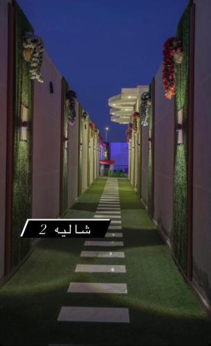 Mntjʿ w shalyhat safwy