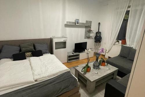 a bedroom with a bed and a tv and a couch at Private Apartment in Hannover