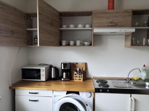 Η κουζίνα ή μικρή κουζίνα στο Apartmány Bolevec Plzeň pro rodiny s dětmi a zvířátky