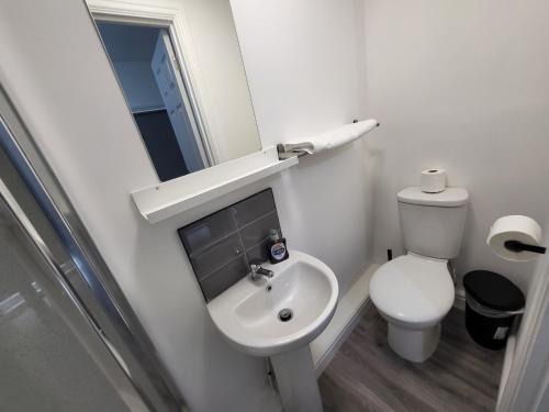 a bathroom with a sink and a toilet and a mirror at Nottingham Forest Rd, Short Stays in Nottingham