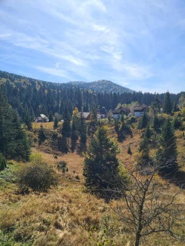 a field with trees and houses in the distance at Vikendica Nina in Mitrovac