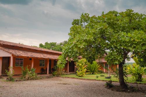 pomarańczowy dom z drzewem przed nim w obiekcie Pousada Capim Dourado Ponte Alta w mieście Ponte Alta do Tocantins
