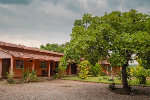 an orange house with a tree in front of it at Pousada Capim Dourado Ponte Alta in Ponte Alta do Tocantins