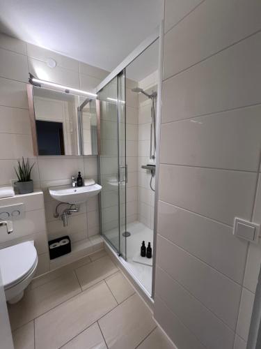 a bathroom with a shower and a sink and a toilet at KELLER APARTMENT I 106 Kniebis in Freudenstadt