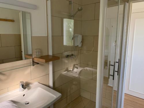 ein Bad mit einem Waschbecken und einer Dusche in der Unterkunft Le Grand Hôtel Ussel ''nouvelle Gérance 2023'' in Ussel