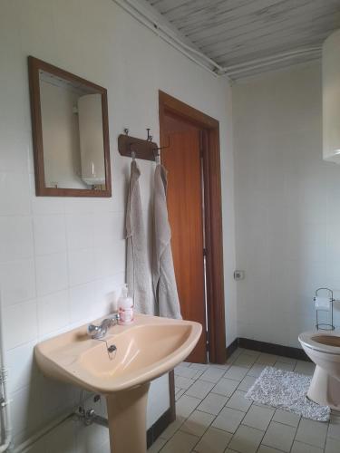 La salle de bains est pourvue d'un lavabo et de toilettes. dans l'établissement In the old farmhouse, à Assenede
