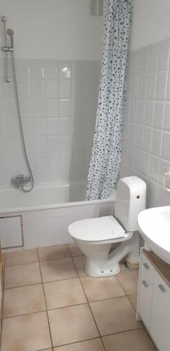 ein Bad mit einem WC, einer Dusche und einem Waschbecken in der Unterkunft Vacances relax à Bredene in Bredene