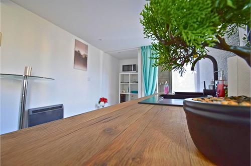 uma cozinha com uma mesa de madeira com um vaso de plantas em STNAHOME 60110 Nid Douillet et Annexe Confortable à Amblainville em Amblainville