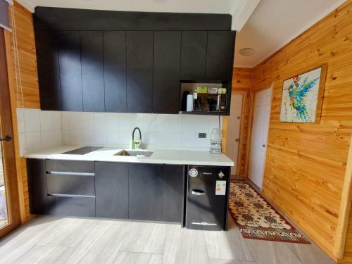 a kitchen with black cabinets and a sink at Mini casa en lo alto de la montaña in Valparaíso