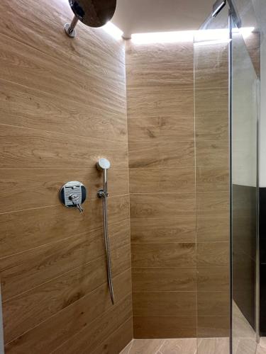 prysznic z głowicą prysznicową i szklanymi drzwiami w obiekcie ALBARI HOUSE w Bolonii