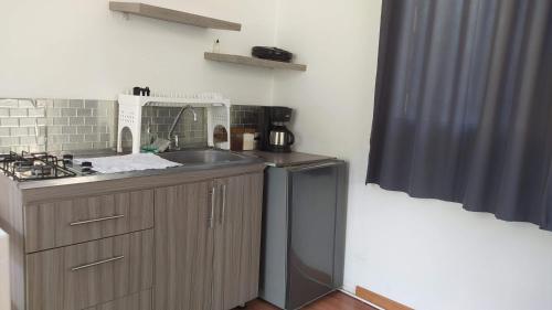 a kitchen with a sink and a dishwasher at Tiny House Serendipia - Caserío El Puente -Villeta in Villeta