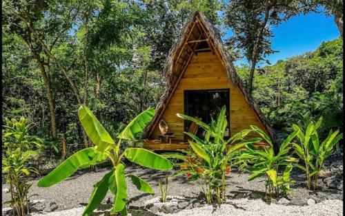 a small house in the middle of a forest at Cabinas de Lou Eco Lodge TAMARINDO in Santa Rosa
