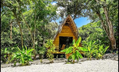 a small cabin in the middle of a forest at Cabinas de Lou Eco Lodge TAMARINDO in Santa Rosa
