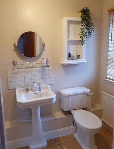 a bathroom with a toilet and a sink and a mirror at Clachan Farmhouse B & B in Ullapool