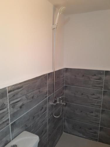 La salle de bains est pourvue d'une douche et de toilettes. dans l'établissement Jerash mountain studio chalet شاليه جبال جرش و عجلون, à Jerash