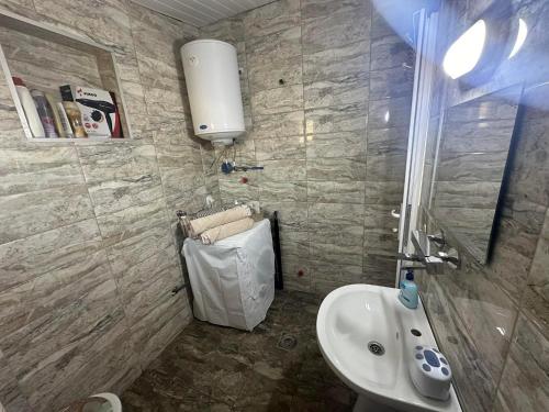a bathroom with a sink and a toilet and a mirror at Apartment Su Casa in Rʼžaničino
