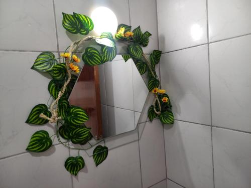 a mirror with a plant on a bathroom wall at Kitnet Apartamento Praia Matinhos in Matinhos