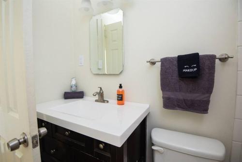 een badkamer met een wastafel en een spiegel bij Serenity on Montclair - Groups/Games/FastWiFi in Birmingham