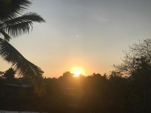 a sunset with a palm tree in the foreground at Muni's Lombok Bungalow in Masbagik