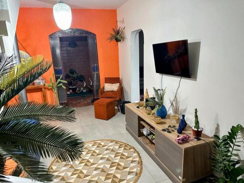 a living room with a tv and some plants at Espaço Nill in Belo Horizonte