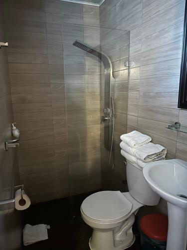 a bathroom with a shower and a toilet and a sink at Hostal y Cabañas Villa Germana in Puerto Varas