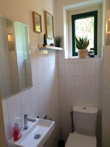 a bathroom with a toilet and a sink and a window at Ferienhaus Strandnah in Breskens